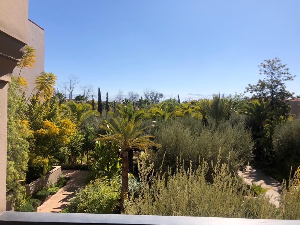 Landscape Design Planning