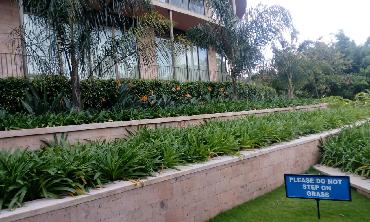 Terraced Garden