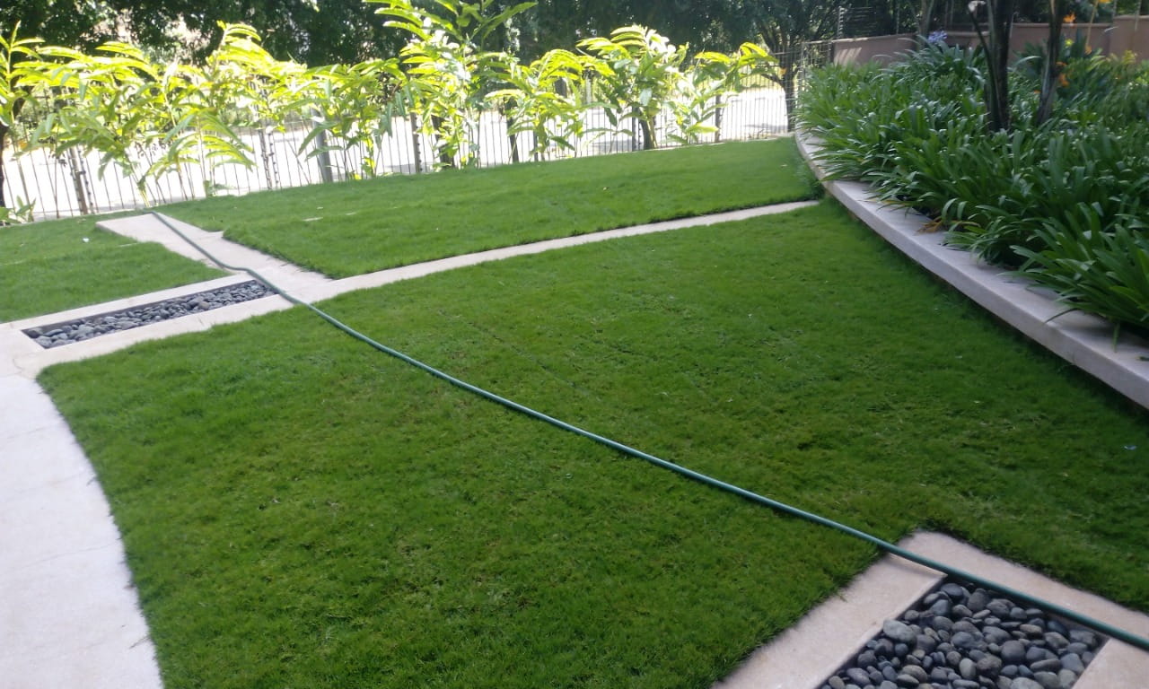 Manicured Lawns